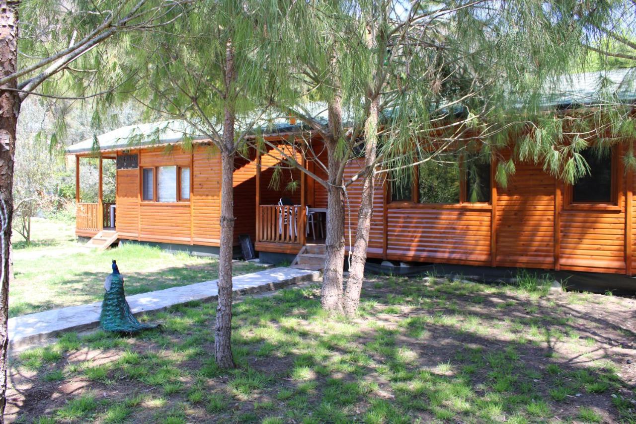 Апартаменты Seker Bungalov Чирали Экстерьер фото